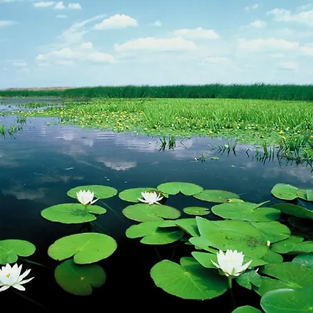 Opustisza7 Tiszafüred